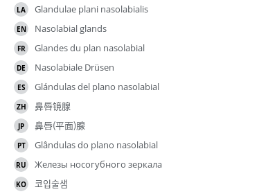 Translations