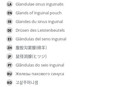 Translations