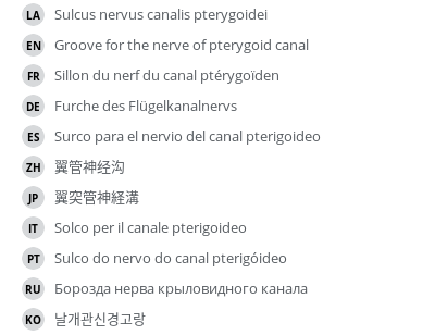 Translations