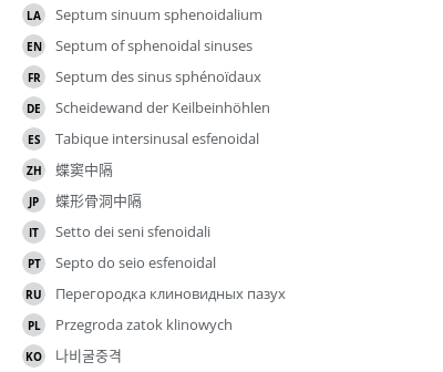 Translations