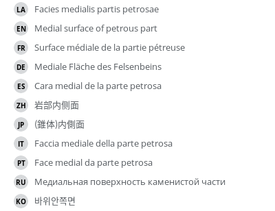 Translations