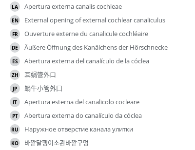Translations