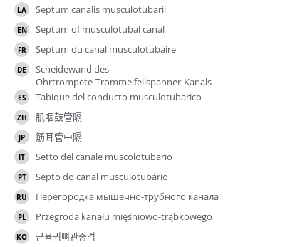 Translations