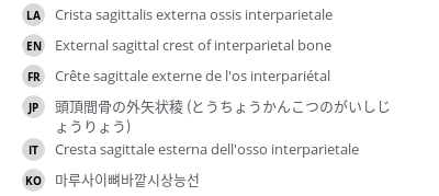 Translations