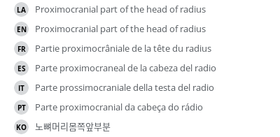 Translations