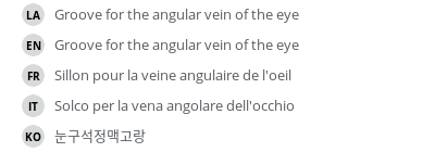 Translations