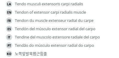 Translations