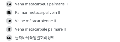 Translations
