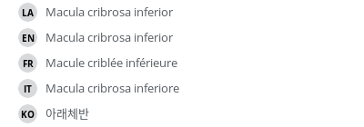 Translations