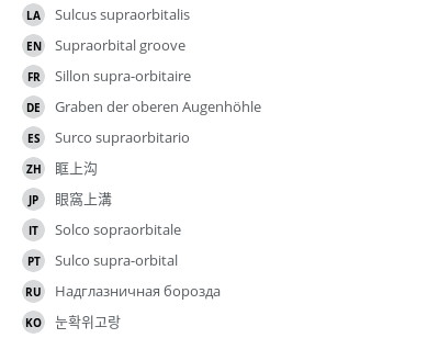 Translations