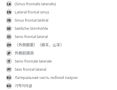 Translations