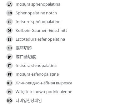 Translations