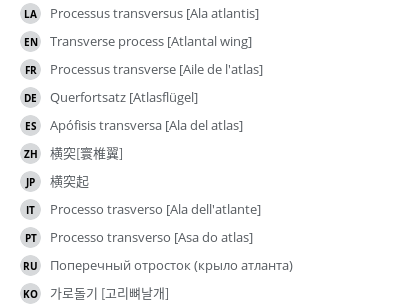 Translations