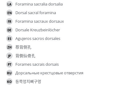 Translations
