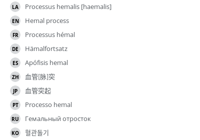 Translations