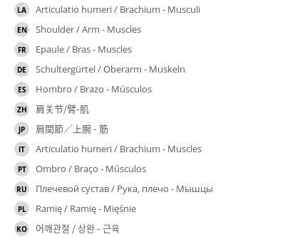 Translations