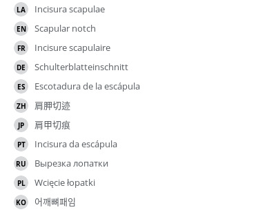 Translations
