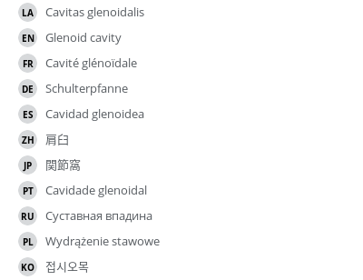 Translations