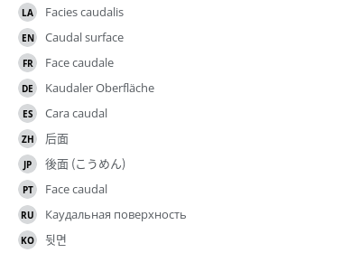Translations