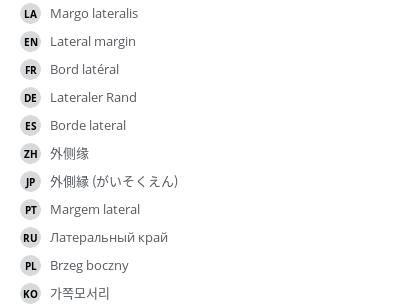 Translations