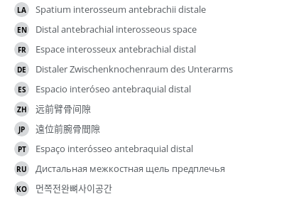Translations