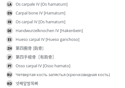 Translations