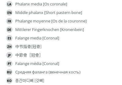 Translations