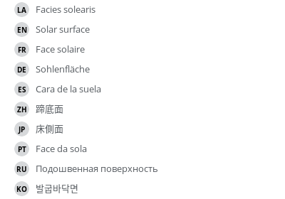 Translations