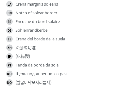 Translations