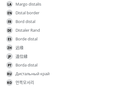 Translations