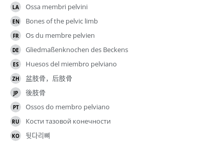 Translations