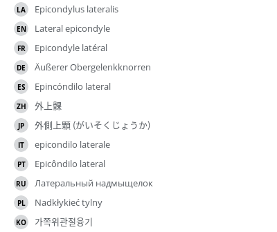 Translations