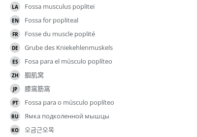 Translations