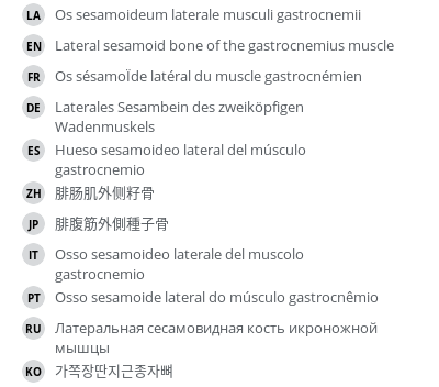 Translations