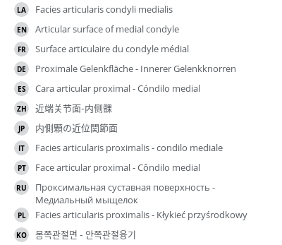 Translations