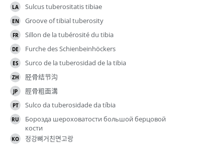 Translations