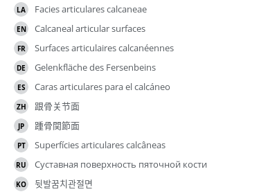 Translations