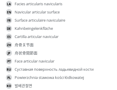 Translations