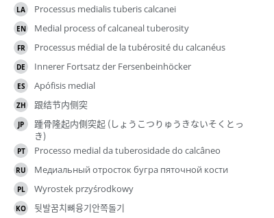 Translations