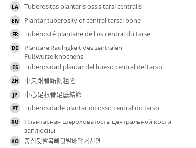 Translations