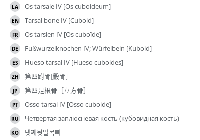 Translations