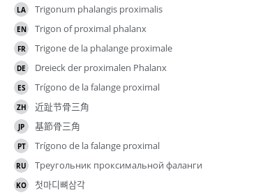 Translations