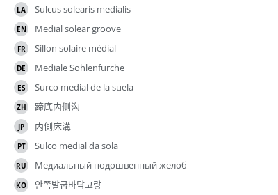 Translations