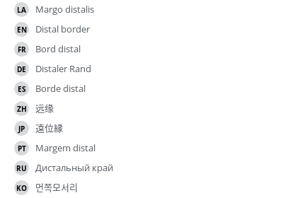 Translations