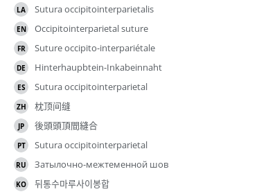Translations