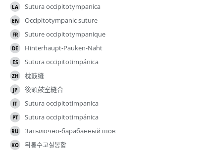 Translations