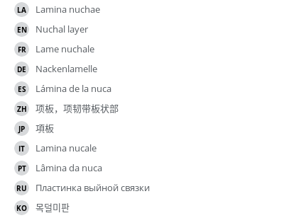 Translations