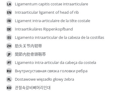 Translations