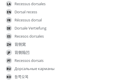 Translations