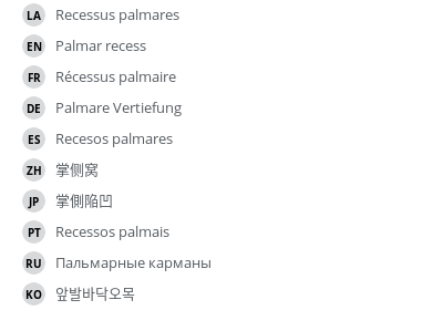 Translations